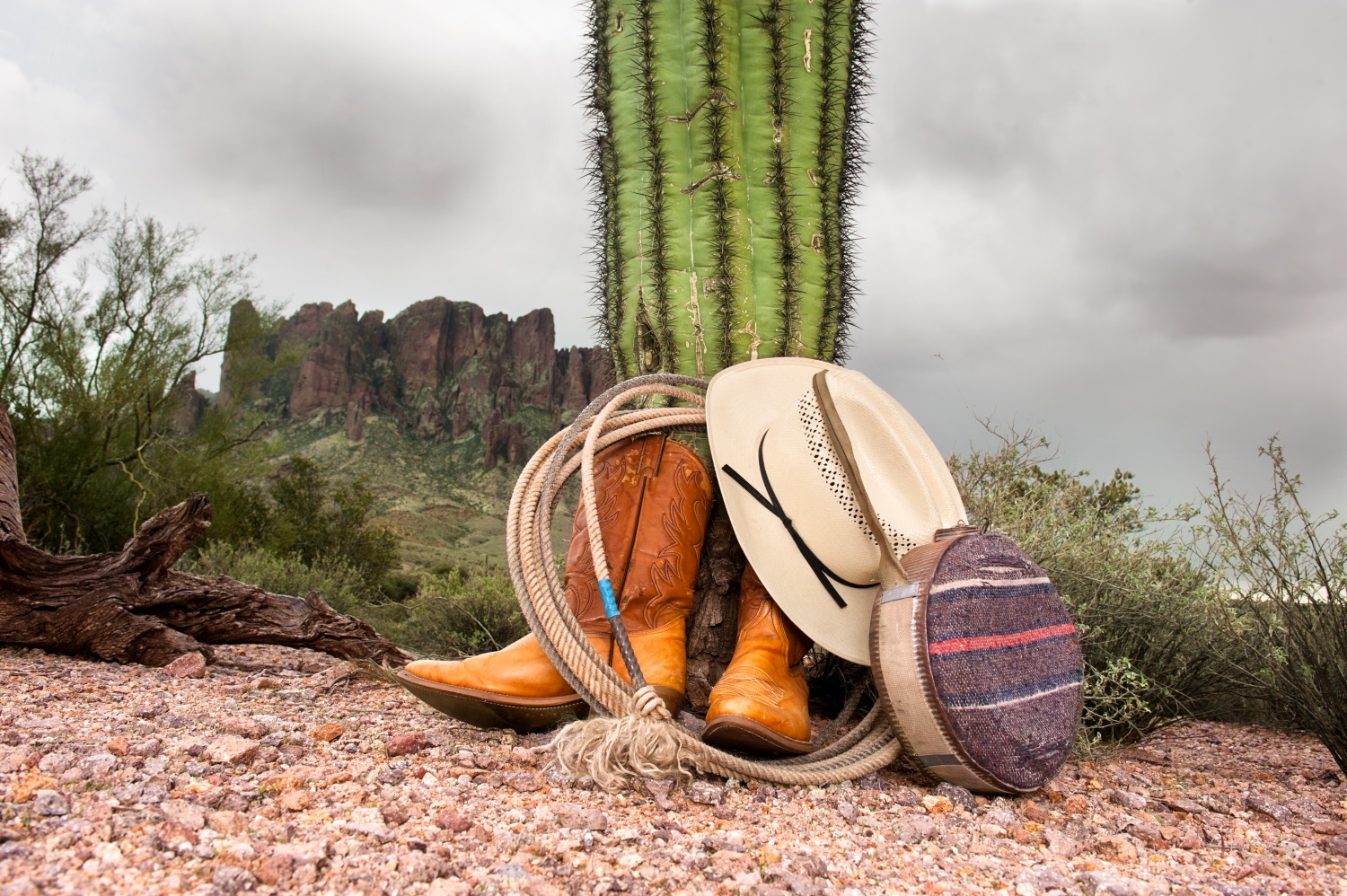 Photograph of cowboy boots and hat resting on a cactus.