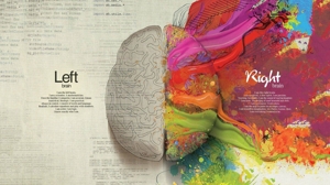 Image showing both sides of the brain in different colours suggesting how to discover our identity.