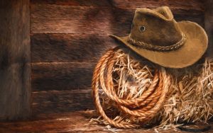 Cowboy hat and lasso on a straw straw bale inside a barn